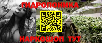 гидропоника Бердск