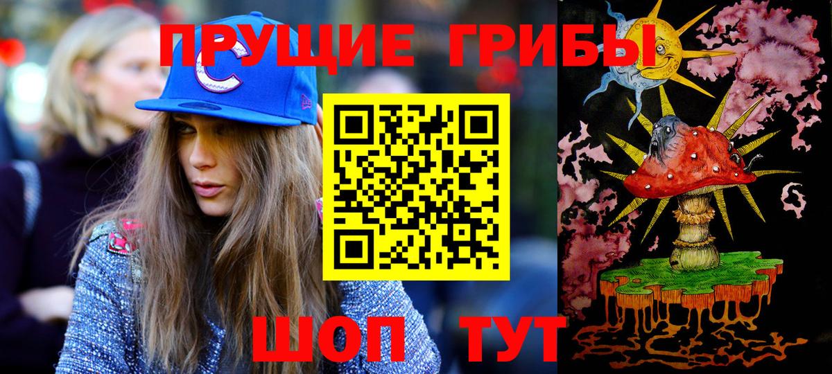 Псилоцибиновые грибы Cubensis Ялуторовск
